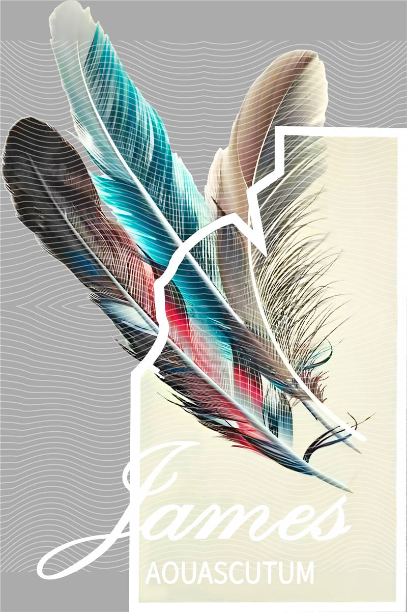 latest edition-KNY 803